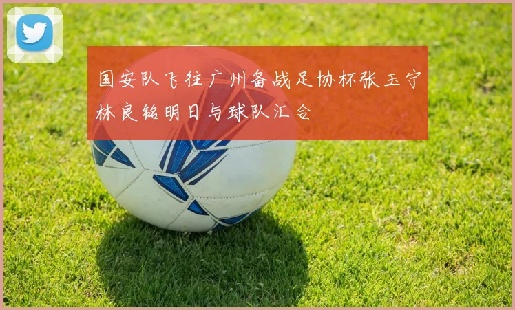 国安队飞往广州备战足协杯张玉宁林良铭明日与球队汇合