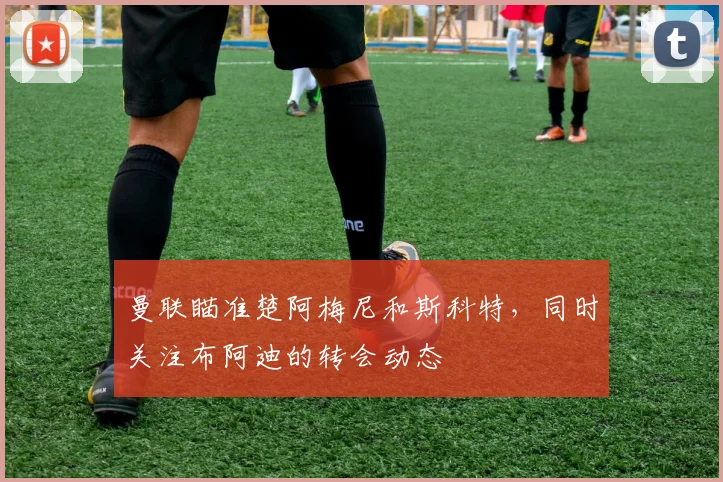 曼联瞄准楚阿梅尼和斯科特，同时关注布阿迪的转会动态